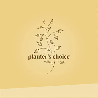 Bonsai Starter Kit - Gardening Easter Gift for Women & Men - Bonsai Tree Growing Garden Crafts Hobby Kits for Adults, Unique DIY Hobbies for Plant Lovers - Unusual Christmas Gifts Ideas