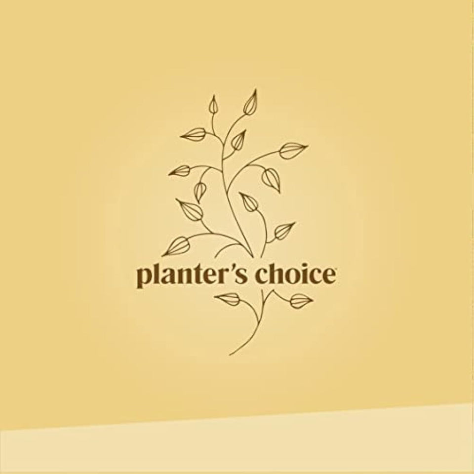 Bonsai Starter Kit - Gardening Easter Gift for Women & Men - Bonsai Tree Growing Garden Crafts Hobby Kits for Adults, Unique DIY Hobbies for Plant Lovers - Unusual Christmas Gifts Ideas