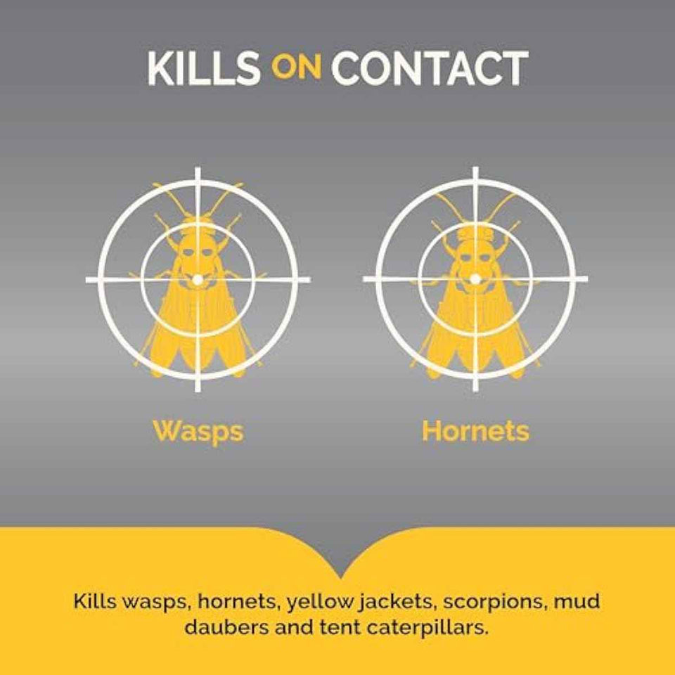 Hot Shot Wasp And Hornet Killer Aerosol, Up to 27-Foot Jet Spray, 14 Ounces, 2 Pack