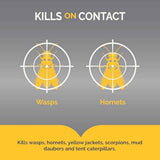 Hot Shot 14-Ounce Wasp And Hornet Killer Aerosol 2-Pack with Up to 27-Foot Jet Spray