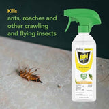 Raid Essentials Multi-Insect Killer Spray, Child and Pet Safe, for Indoor Use, Lemongrass Scent, 12 fl oz
