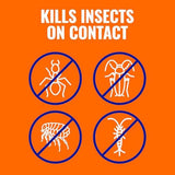 terro t901-6 ant killer plus multi-purpose insect control 3lb shaker bag outdoor