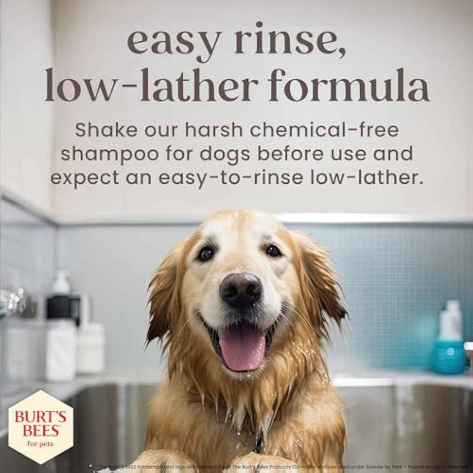 Burt's Bees for Pets Itch Relief Shampoo with Manuka Honey and Chamomile for Dogs, 16 Fl Oz