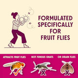 aunt-fannies-flypunch-fruit-fly-trap-for-indoor-kitchen-use-ready-to-use-made-with-plant-based-ingredients-safe-near-food