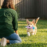 Petstages Pupstages Cool Teething Stick – Puppy Chew Toy for 0–6 Month Puppies, Teething Relief, Freezable & Durable
