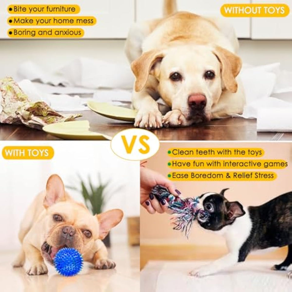 Dog Toys 25 Pack for Fun and Teeth Cleaning, Puppy Chew Toys Pack with Squeak Plush Toy,Squeaky Toy Balls,Tug of War and Rope Toys for Puppy to Small Dogs