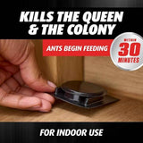 Ortho Orthene Ant Killer Ant Bait, Indoor Ant Killer, Kills The Queen and The Colony, 12 Stations