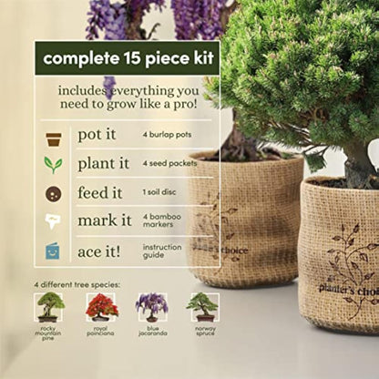 Bonsai Starter Kit - Gardening Easter Gift for Women & Men - Bonsai Tree Growing Garden Crafts Hobby Kits for Adults, Unique DIY Hobbies for Plant Lovers - Unusual Christmas Gifts Ideas
