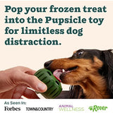 WOOF Pupsicle Treat Tray Mold, Large 25-75lbs, Silicone, Dishwasher Safe, Reusable, Freeze Refill, Dog Treats, Pupsicle Toy