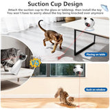Laser Cat Toys for Indoor Cats, Truly Random Trjajectory, Suction Cup Design, Run Quiet, Interactive Cat Toy Automatic