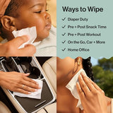 Honest Company Hypoallergenic Baby Wipes for Sensitive Skin, Fragrance-Free, 576 Count (6 Packs of 96)