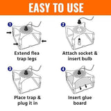 Terro T230 Indoor Electric Flea Trap and Killer - Refillable Flea Traps for Inside Your Home