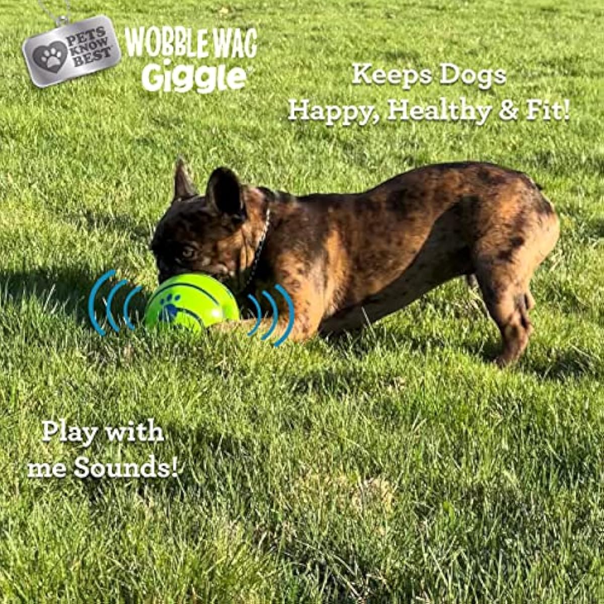 Wobble Wag Giggle Ball | Rolling Enrichment Toy for Fun Playtime, Interactive Play for Indoor or Outdoor, Keeps Dogs & Puppies Large, Medium or Small Busy & Moving, As Seen on TV | Pack of 1