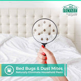 CHOMP! Travel Size Bed Bug & Insect Repellent, Natural, TSA Approved Indoor Pest Control Spray for Travel & Home, Plant-Based Dust Mite, Ant, Spider, Fly Killer, Peppermint Scent, 3.4 Fl Oz