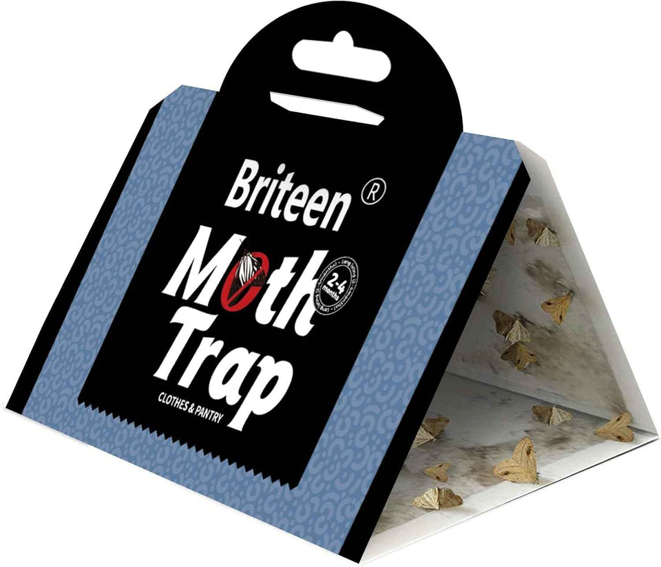 10 pack pantry moth traps with pheromones and glue for safe food and clothing protection