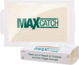 Catchmaster Max-Catch Mouse & Insect Glue Trap 36PK, Mouse Traps Indoor for Home, Sticky Pest Control Adhesive Tray for Catching Bugs, Non Toxic Bulk Unscented Glue Boards