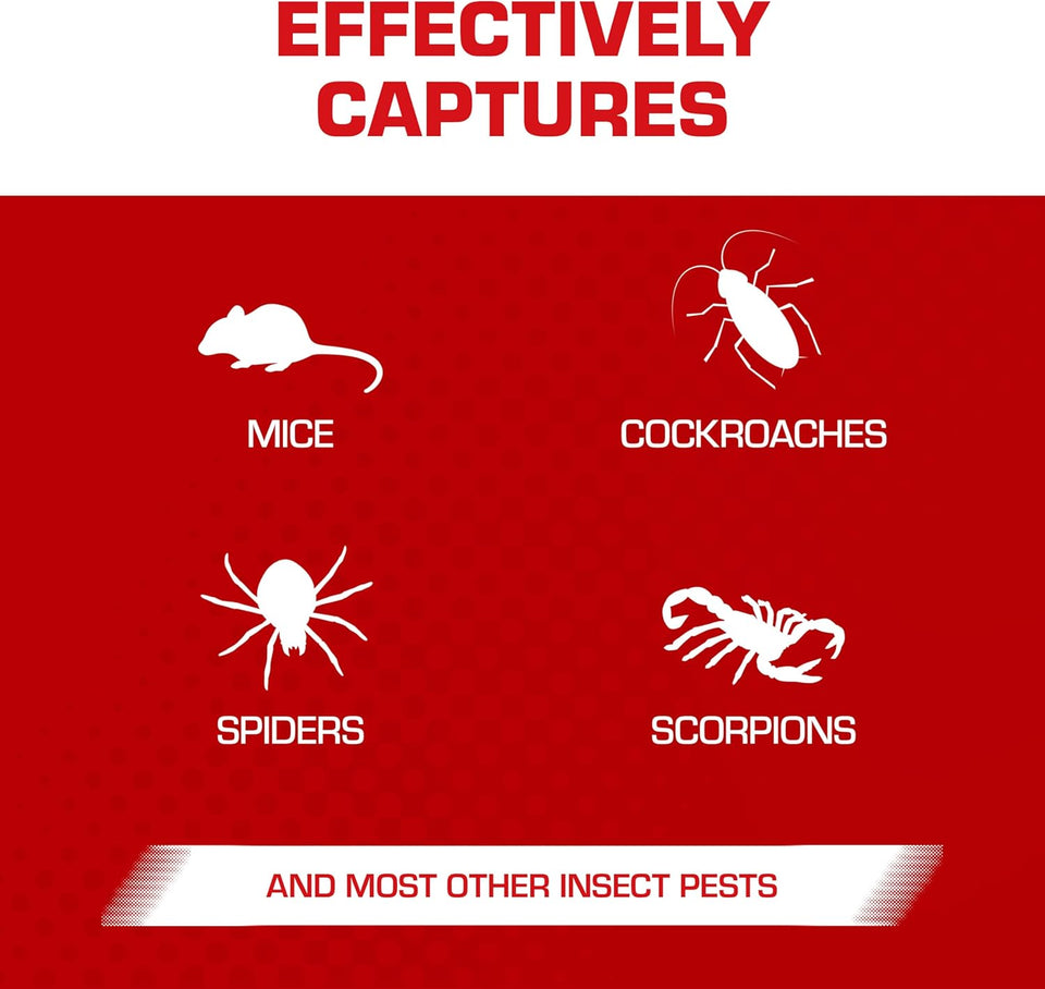 Tomcat Glue Traps Mouse Size with Eugenol for Enhanced Stickiness for Mice, Cockroaches, and Spiders, 6 Traps