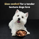 cesar steak lovers variety pack adult wet dog food real meat 36 count 3.5 oz easy peel trays