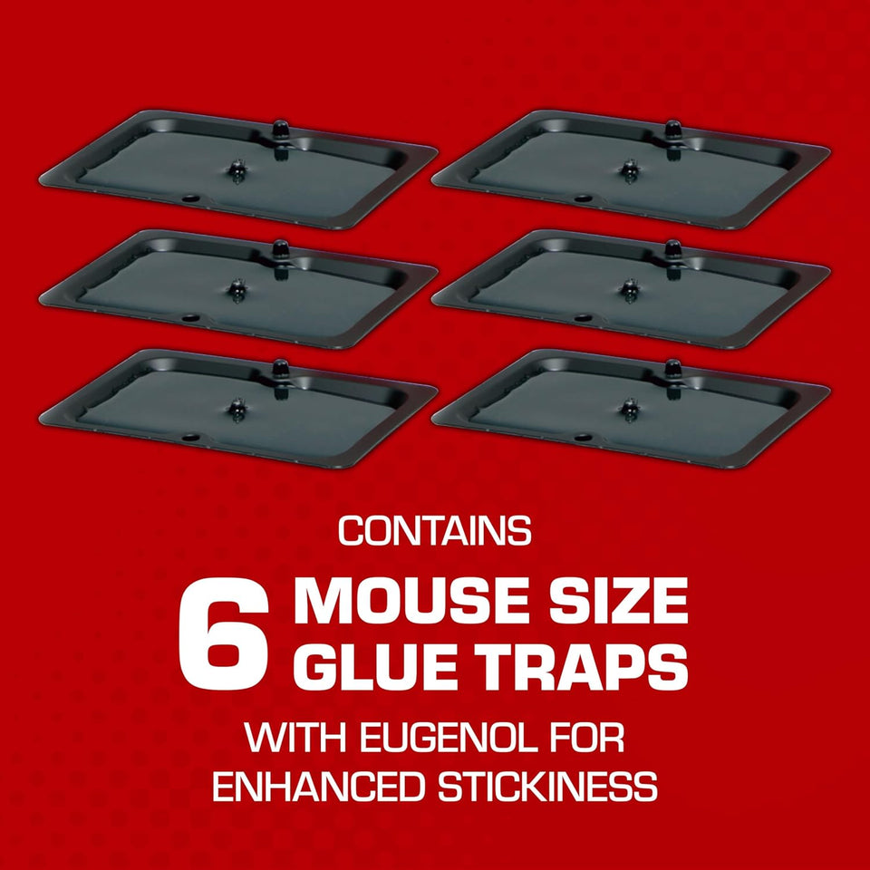 Tomcat Glue Traps Mouse Size with Eugenol for Enhanced Stickiness for Mice, Cockroaches, and Spiders, 6 Traps