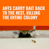 TERRO Liquid Ant Killer Bait Stations T300-3SR, 18 Count, Effective Indoor Ant Control for Sugar Ants