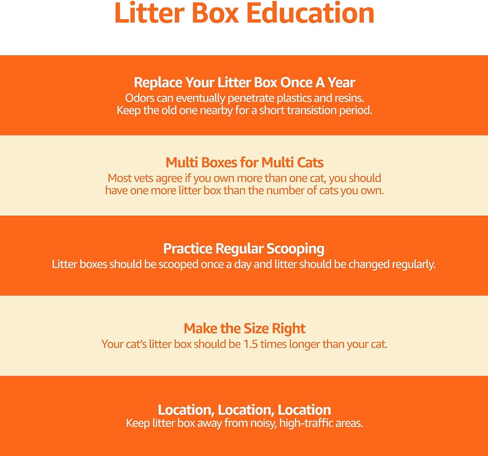 Basics Large Cat Litter Box with High Sides, Open Top, Includes Scoop, 19 x 15 x 11.75 inches, Grey/Beige