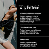 david high protein bars no sugar peanut butter chocolate chunk flavor 28g protein low carb gluten free