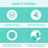 STEM Flying Insect Fan Trap for Indoor Bug Control, Attracts Mosquitoes, Fruit Flies, and House Flies, Plug-in Fan with UV Light, Starter Kit Includes 1 Device and 5 Glue Traps