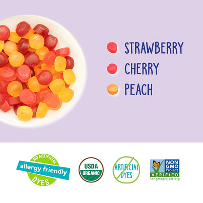 YumEarth Organic Fruit Snacks Box, 0.7 Ounce (Pack of 10)