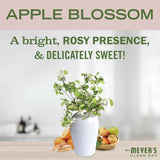 Mrs. Meyer's Apple Blossom Vinegar Gel Cleaning Spray, 16 Fl Oz, No-Rinse Formula, Bathroom Use