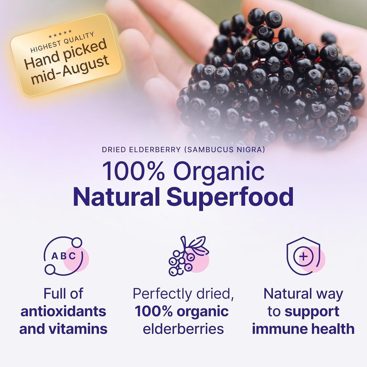 Certified USDA - 100% Organic Dried Elderberries - 1lb Bulk - Non-Irradiated, Non-Gmo, Whole Black Elderberry Immune Support For Making Elder Syrup, Gummies, Tea - Raw Vegan Sambucus 1 Pound