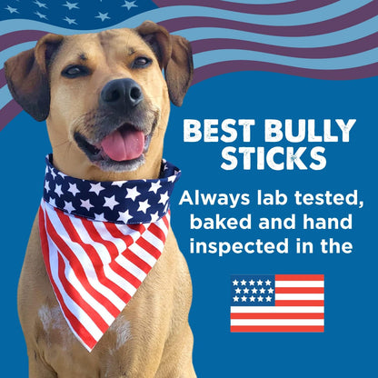 Best Bully Sticks Thick 6 Inch Natural Beef Bully Sticks for Large Breeds Dogs - Single Ingredient - 5 Count
