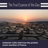 le marinier celtic salt organic grey coarse 1.1lb french sea salt 100% natural unrefined mineral rich