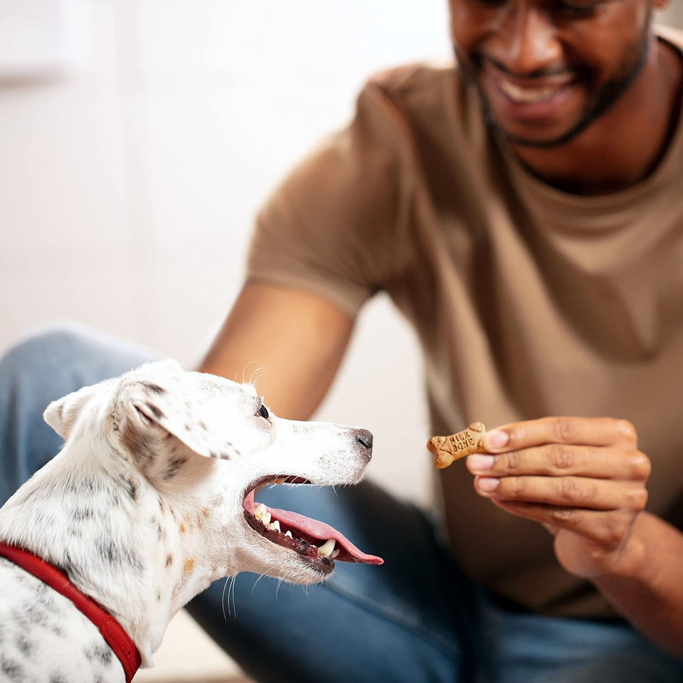 Milk-Bone Mini's Flavor Snacks Dog Treats, 36 Ounce