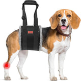 Adjustable dog lift harness for large dogs hind leg support with soft lift and rehab features
