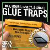 Heavy Duty Plastic Glue Traps for Mice, Rats, Snakes, Lizards, Insects - Extra Strength, Pre-Baited Adhesive - 10 Pack