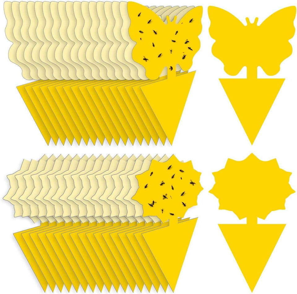 Yello Sticky Fruit Fly and Fungus Gnat Traps 36 Pack No Harm and Odorless for Indoor Outdoor Use Protect Plants