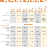Amazon Basics Dog and Puppy Pee Pads, 5-Layer Leak-Proof Super Absorbent, Quick-Dry Surface, Potty Training, Regular (22x22"), 100 Count, Blue & White