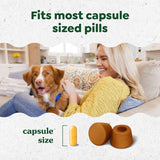 Greenies Pill Pockets for Dogs Large Size, Soft Dog Treats, Chicken Flavor, 15.8 oz. Pouch (60 Treats)