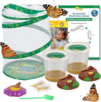 Insect Lore Butterfly Garden with 10 Live Baby Caterpillars - Habitat, Feeder, Chrys-A-Lid Holders, STEM Activity Journal - Raise and Release Painted Lady Butterflies