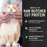 Vital Essentials Minnows Cat Treats, 0.5 oz | Freeze-Dried Raw | Single Ingredient | Grain Free, Gluten Free, Filler Free