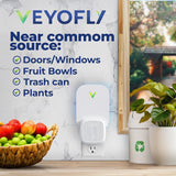 VEYOFLY Fly Trap Indoor, Fruit Fly Traps for Indoors Flying Insect (2 Device + 4 Refills) Gnat Traps for House Indoor, Bug Zapper Indoor, Gnat Killer Catcher & Fruit Fly Killer Light Plug in