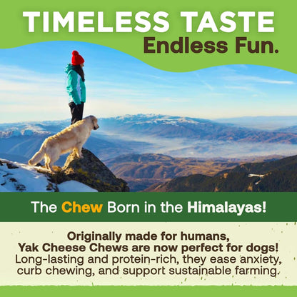 EcoKind Premium Gold Yak Cheese Himalayan Dog Chews for Large Breed, Aggressive Chewers, Natural, High Protein, 4 Chews (1 lb)