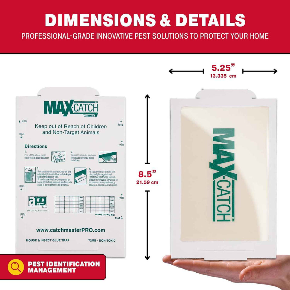 Catchmaster Max-Catch Mouse & Insect Glue Trap 36PK, Mouse Traps Indoor for Home, Sticky Pest Control Adhesive Tray for Catching Bugs, Non Toxic Bulk Unscented Glue Boards