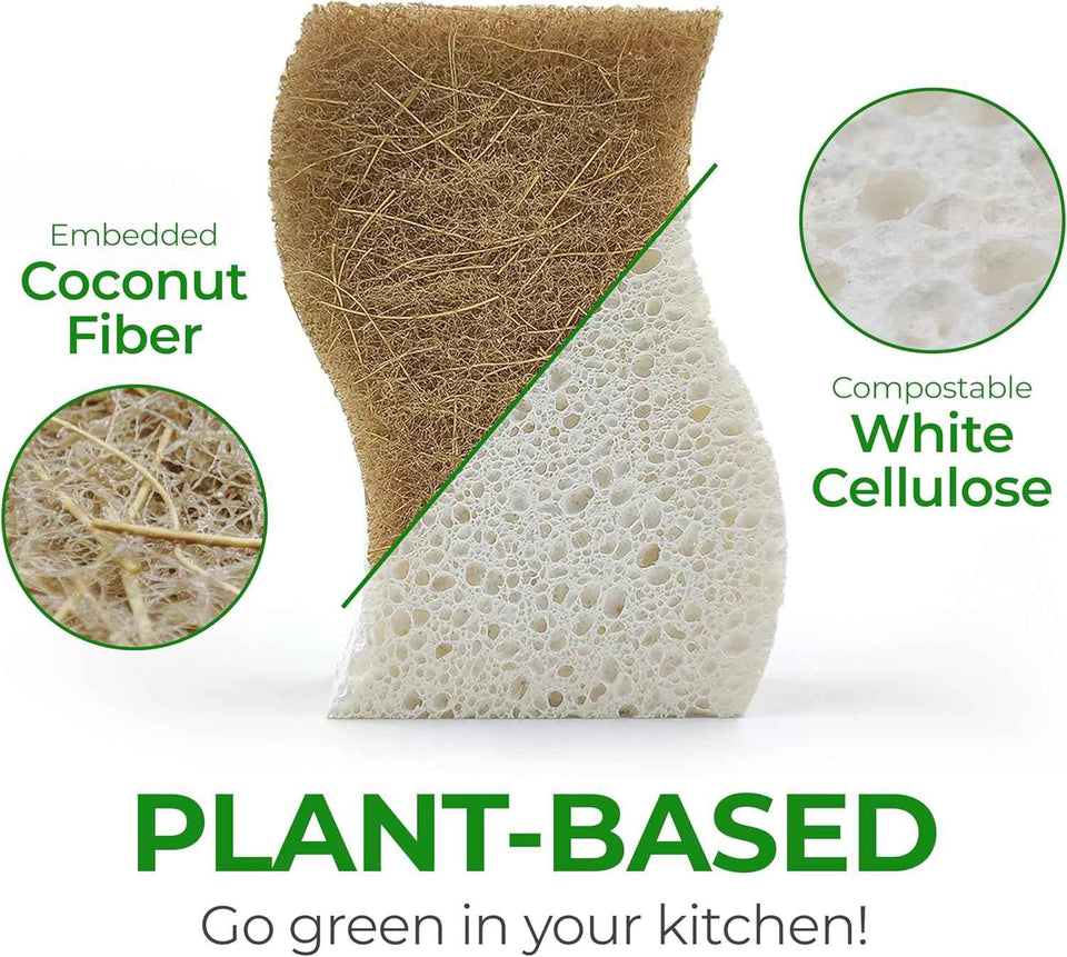 Natural Compostable Cellulose Coconut Walnut Kitchen Sponges 12 Pack Gentle Eco Friendly Daily Cleaning