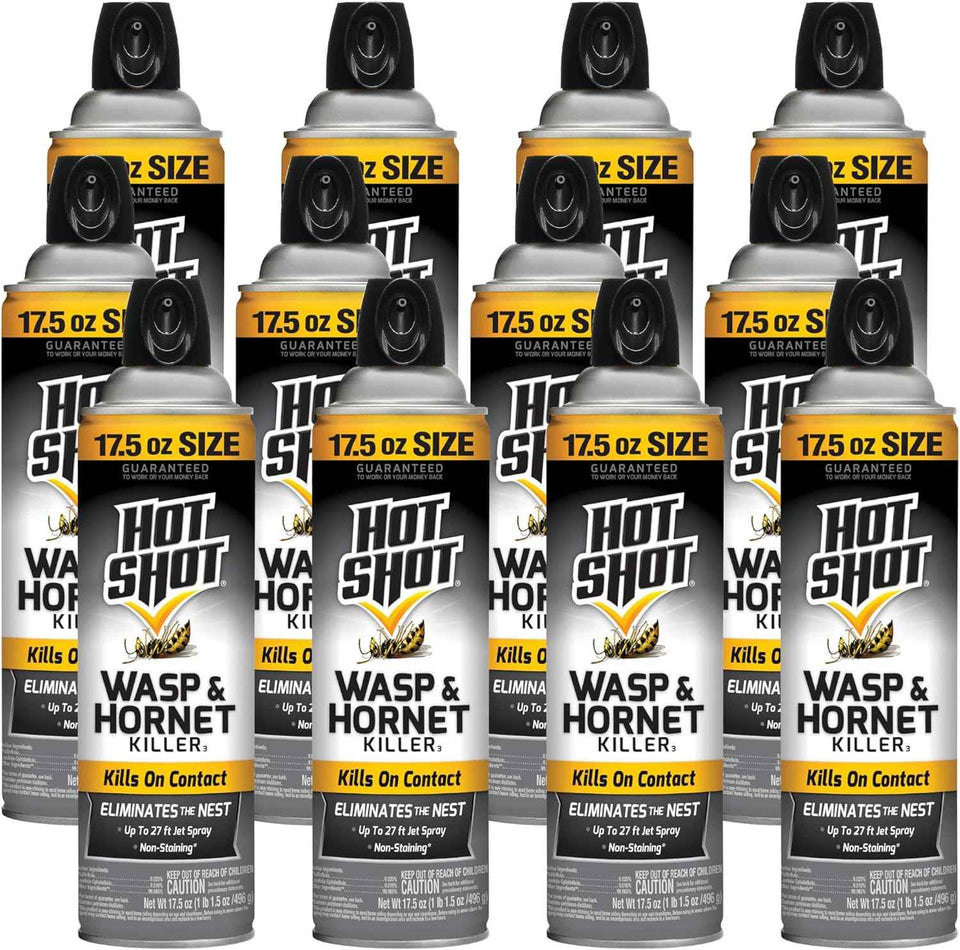 Hot Shot Wasp And Hornet Killer Aerosol, Up to 27-Foot Jet Spray, 14 Ounces, 2 Pack