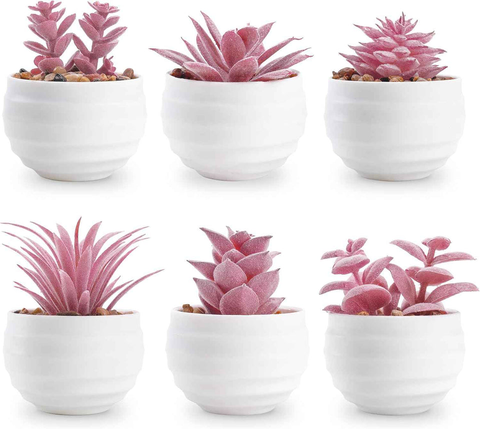 Der Rose Set of 6 Succulents Plants Artificial in Pots Small Fake Plants for Bedroom Aesthetic Living Room Shelf Bathroom Decor Office Desk Accessories