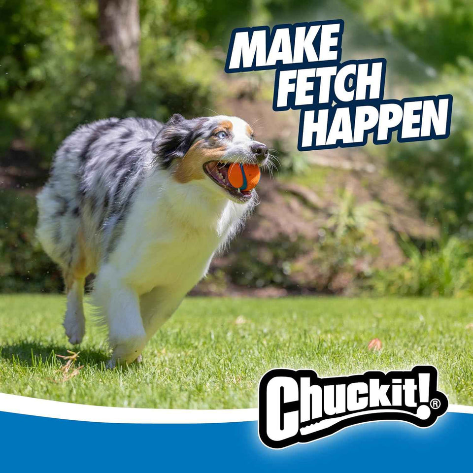 chuckit ultra ball dog toy - medium bouncy fetch balls for dogs 20-60 lbs - made from durable rubber