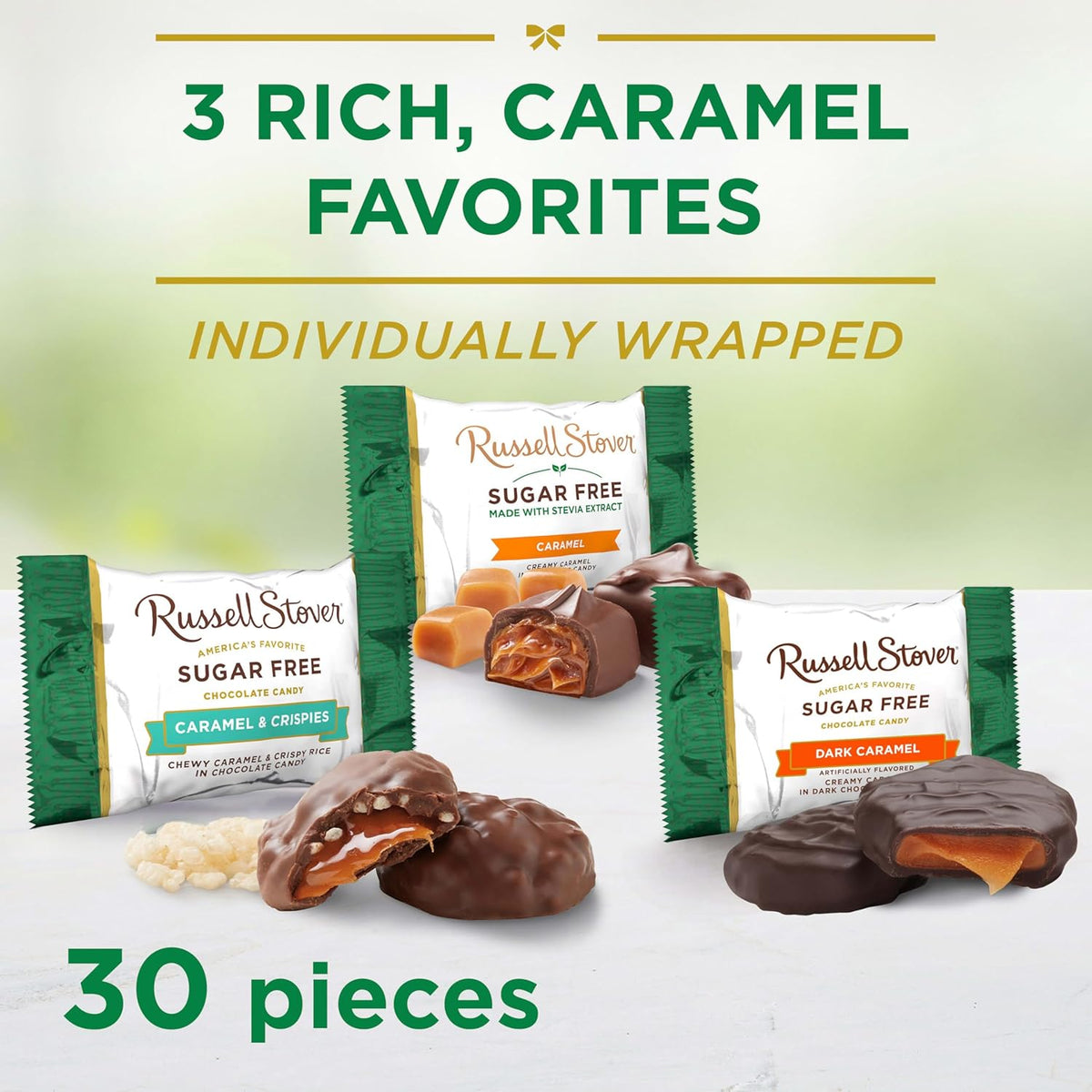RUSSELL STOVER Sugar Free Assorted Caramels in Chocolate Candy, 15.3 oz. bag