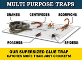 maxguard-extra-large-cricket-traps-8-traps-non-toxic-extra-sticky-glue-pre-baited-cricket-attractant-trap-kill