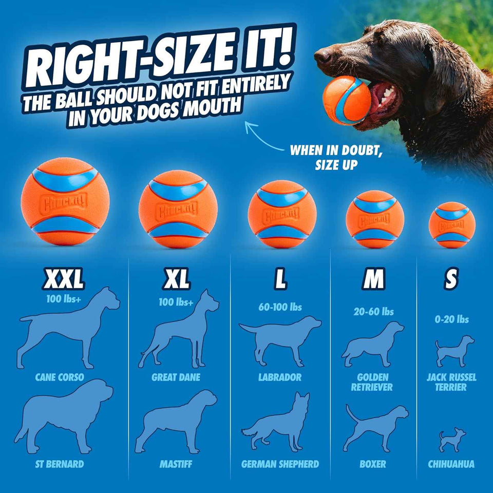 chuckit ultra ball dog toy - medium bouncy fetch balls for dogs 20-60 lbs - made from durable rubber